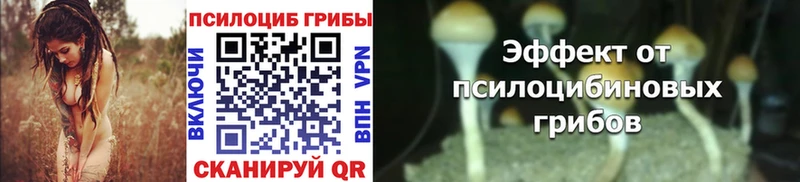 Псилоцибиновые грибы мицелий  Полярный 